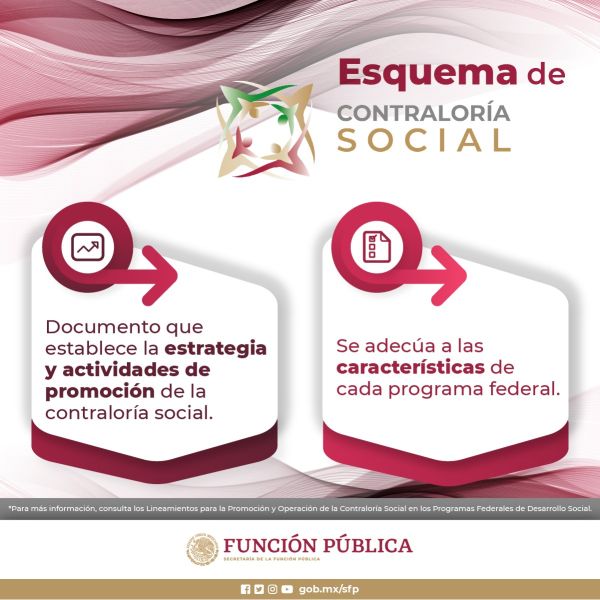 infografia-2-esquema-de-contraloria-socialCEF1607D-C897-E94C-B7E4-C1F5744F4F4B.jpeg